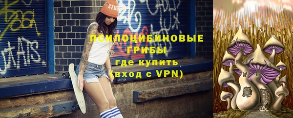 бутират Белокуриха
