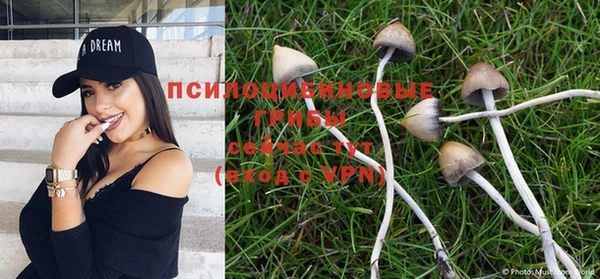 бутират Белокуриха
