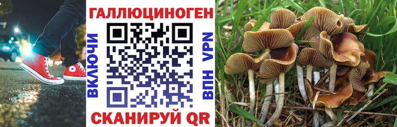 сколько стоит  Елабуга  мега сайт  Псилоцибиновые грибы MAGIC MUSHROOMS 