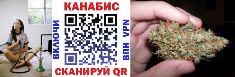 закладки  Елабуга  Бошки Шишки гибрид 